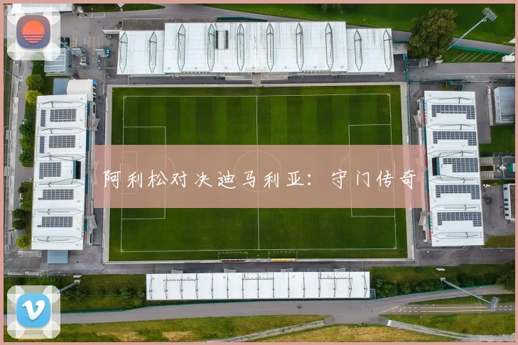 阿利松对决迪马利亚：守门传奇