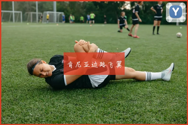 肯尼亚边路飞翼