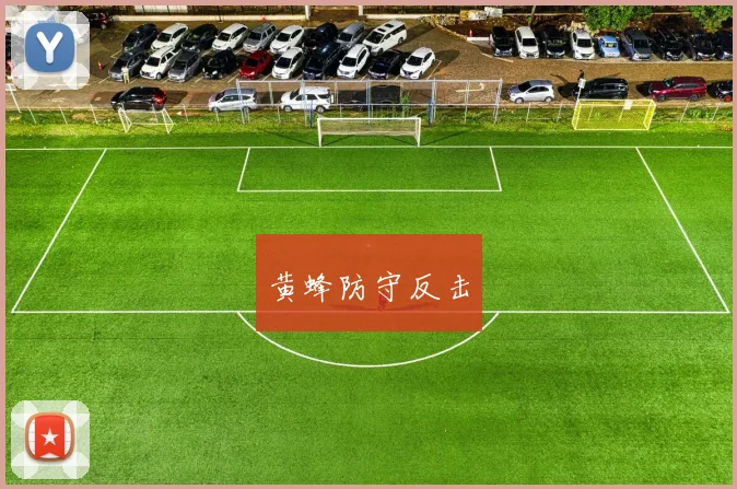 黄蜂防守反击