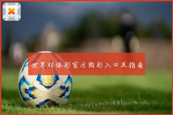 世界杯体彩官方购彩入口及指南