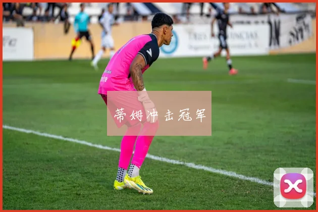 蒂姆冲击冠军