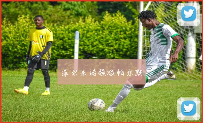 菲尔米诺强碰帕尔默