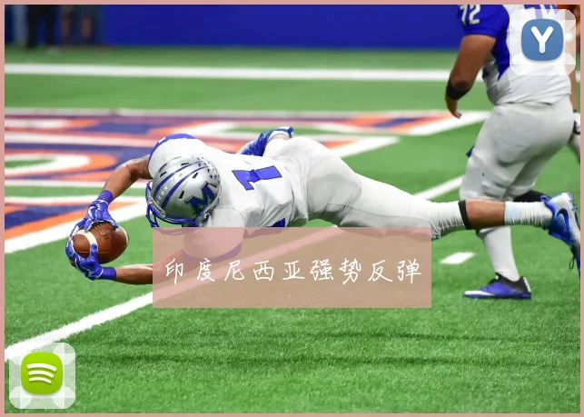 印度尼西亚强势反弹