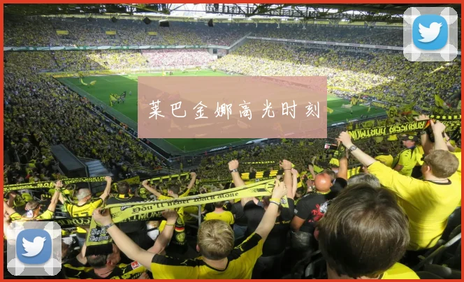 莱巴金娜高光时刻