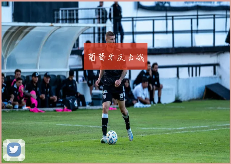 葡萄牙反击战