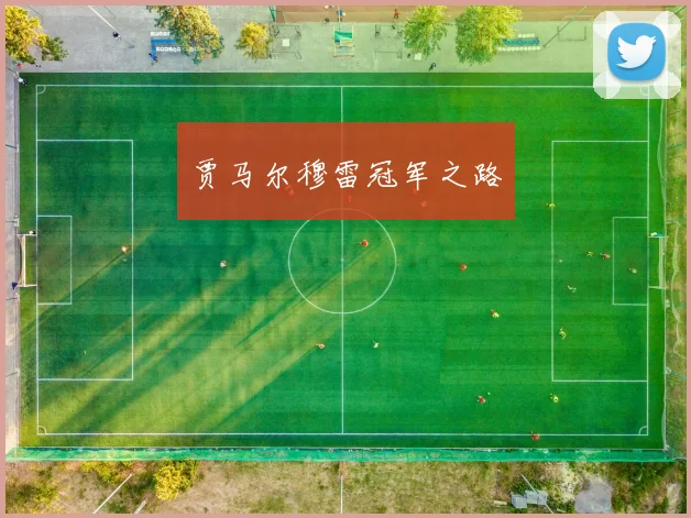 贾马尔穆雷冠军之路