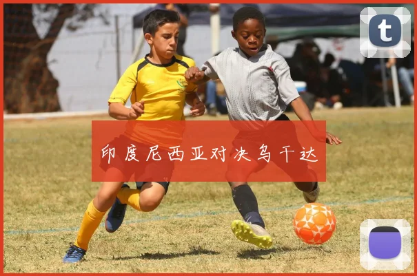 印度尼西亚对决乌干达