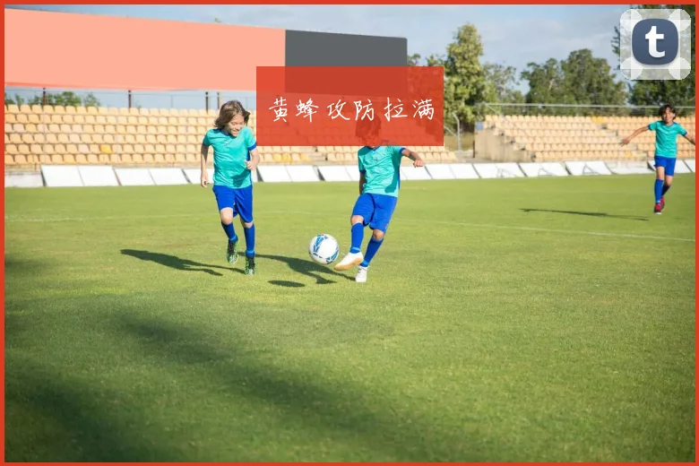 黄蜂攻防拉满