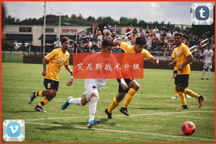 突尼斯战术升级