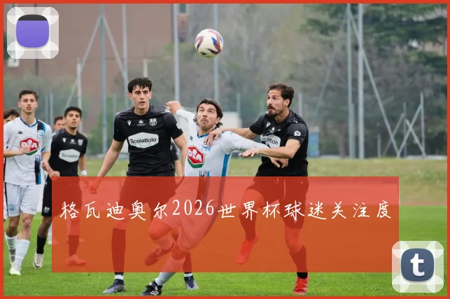 格瓦迪奥尔2026世界杯球迷关注度