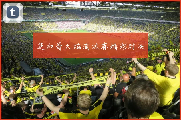 芝加哥火焰淘汰赛精彩对决