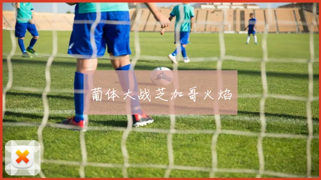 葡体大战芝加哥火焰