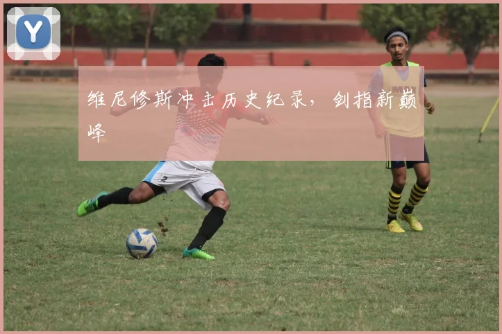 维尼修斯冲击历史纪录，剑指新巅峰
