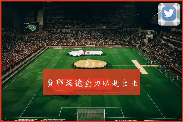 费耶诺德全力以赴出击