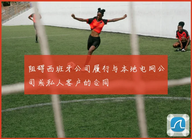 阻碍西班牙公司履行与本地电网公司或私人客户的合同