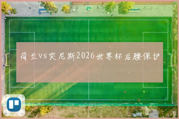 荷兰vs突尼斯2026世界杯后腰保护