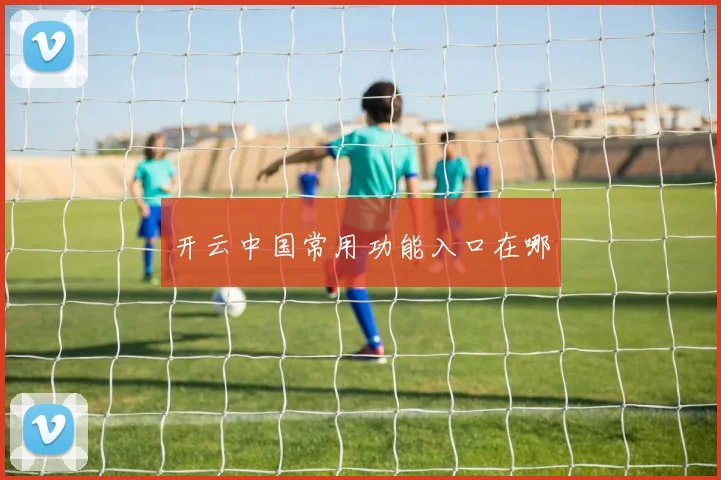 开云中国常用功能入口在哪