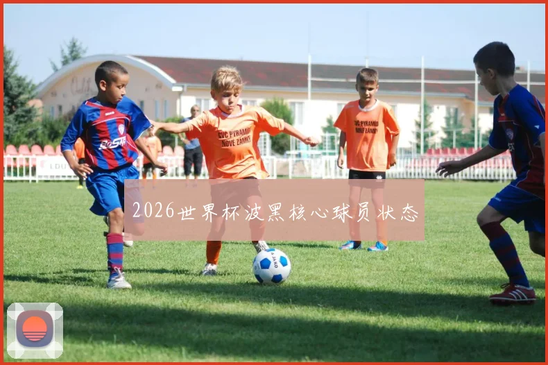 2026世界杯波黑核心球员状态