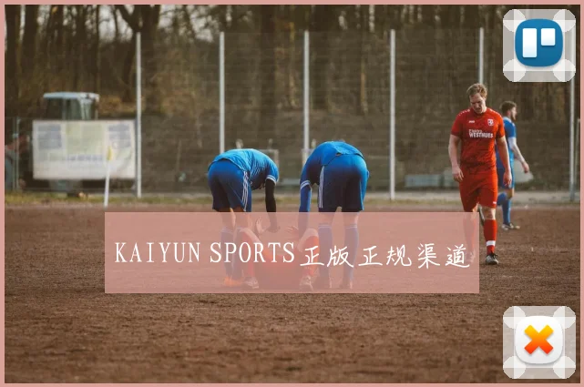 KAIYUN SPORTS正版正规渠道