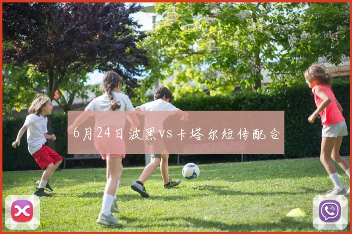 6月24日波黑vs卡塔尔短传配合
